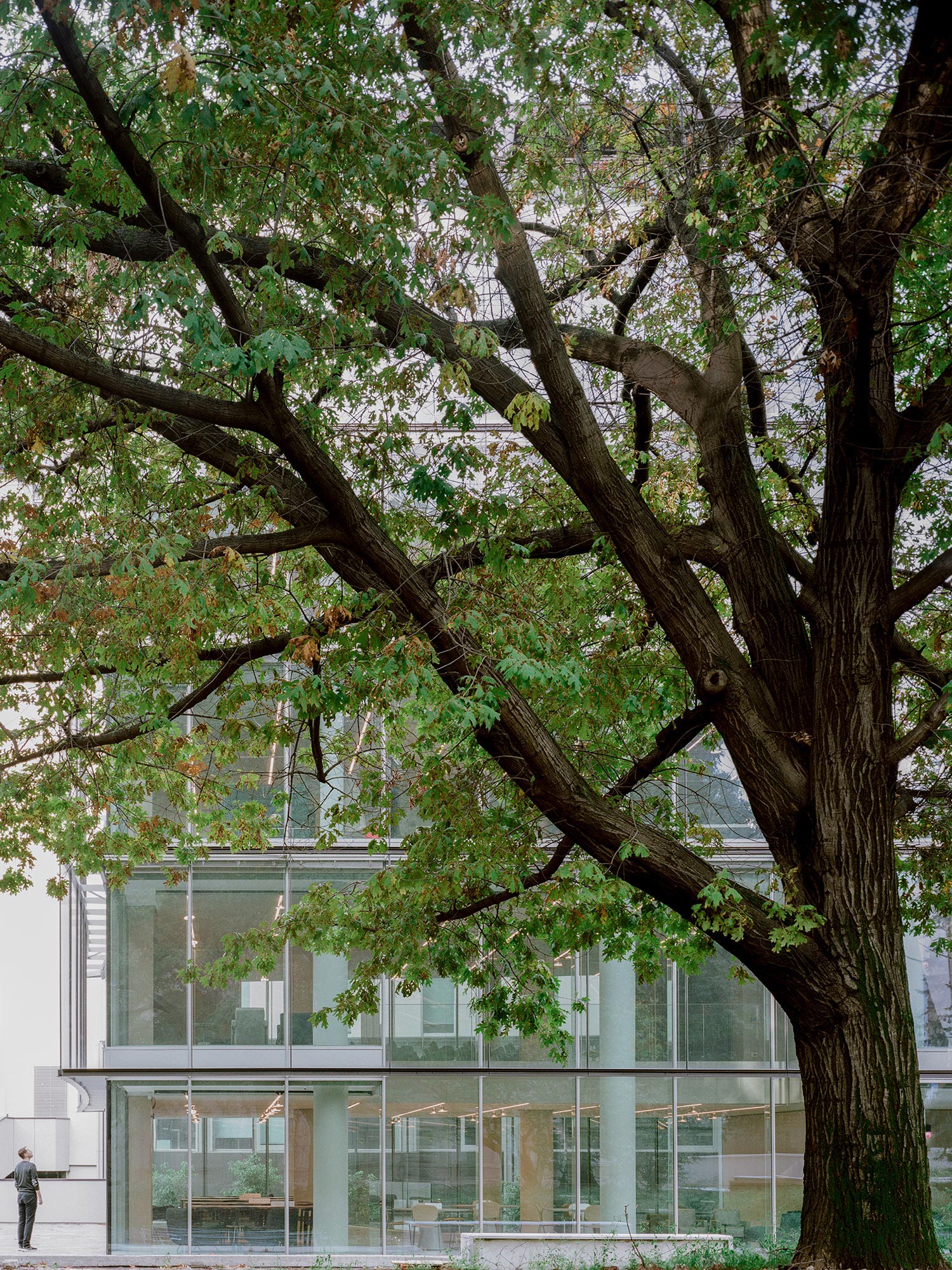 罗蒂卡总部丨意大利米兰丨Park Associati-37