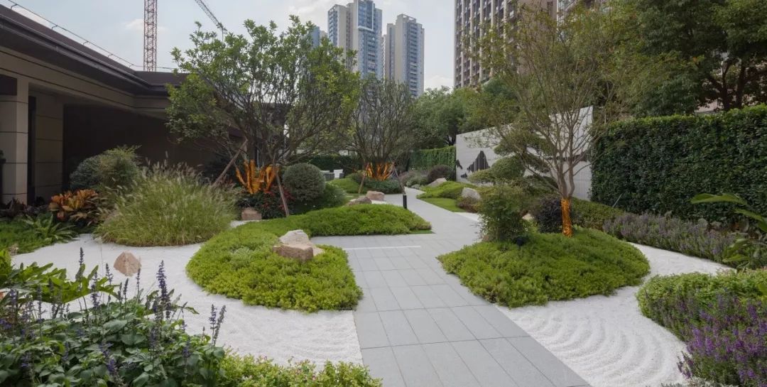 侨民与月丨合景招商 · 映月台-47