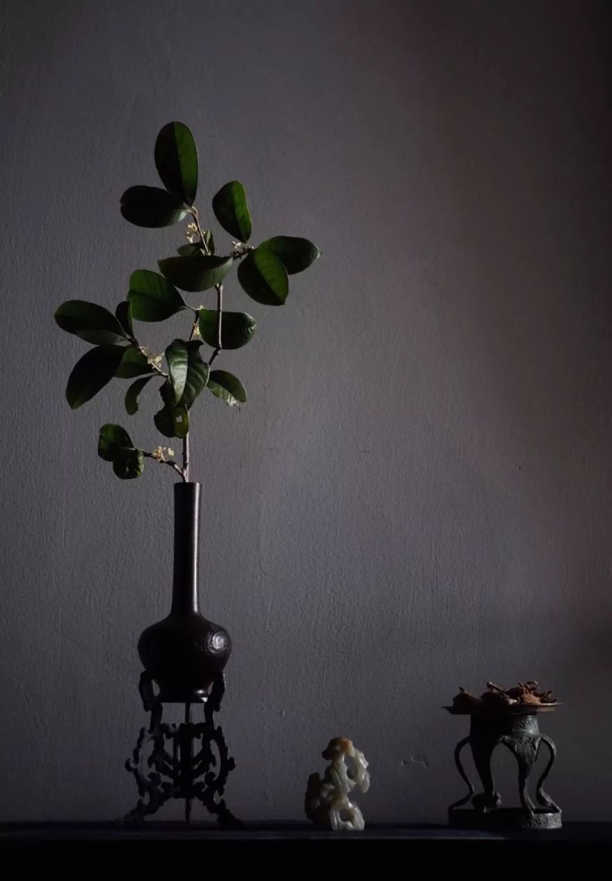 闲居,人生最大的奢侈-41