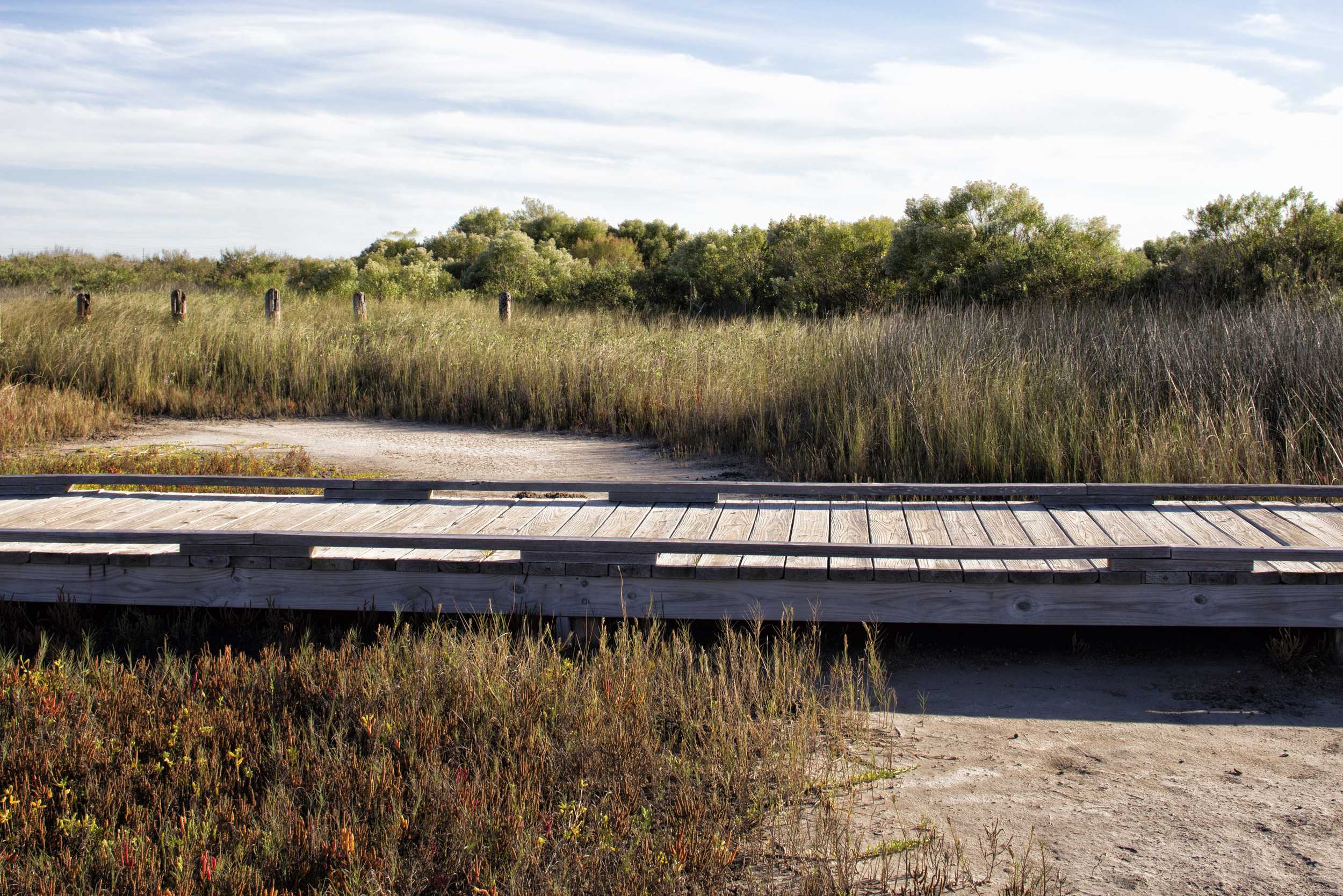 美国加尔维斯敦岛国家生态湿地公园 (asla)Galveston Island State Park-6