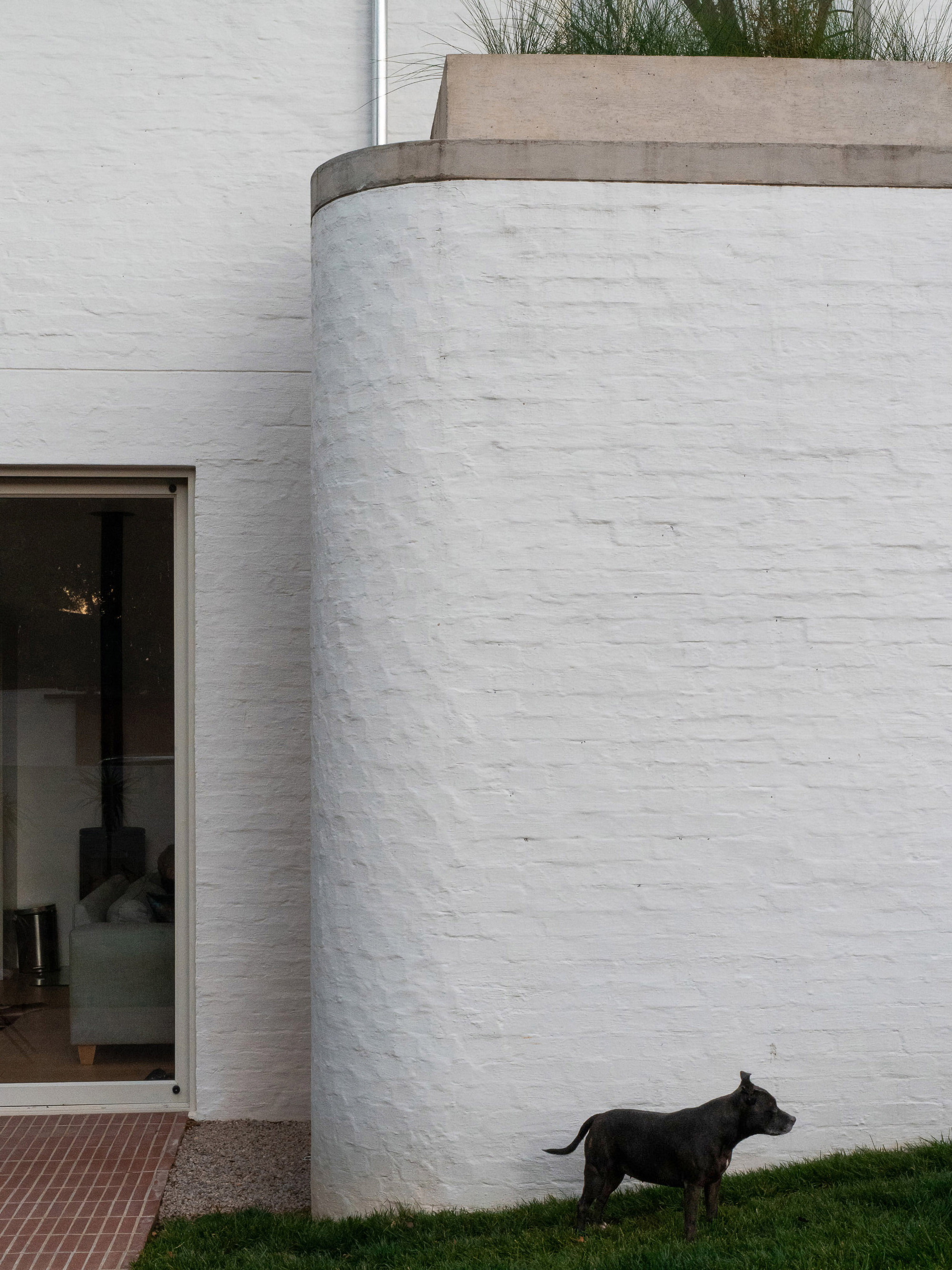 丨南非丨MiMo Architects-22