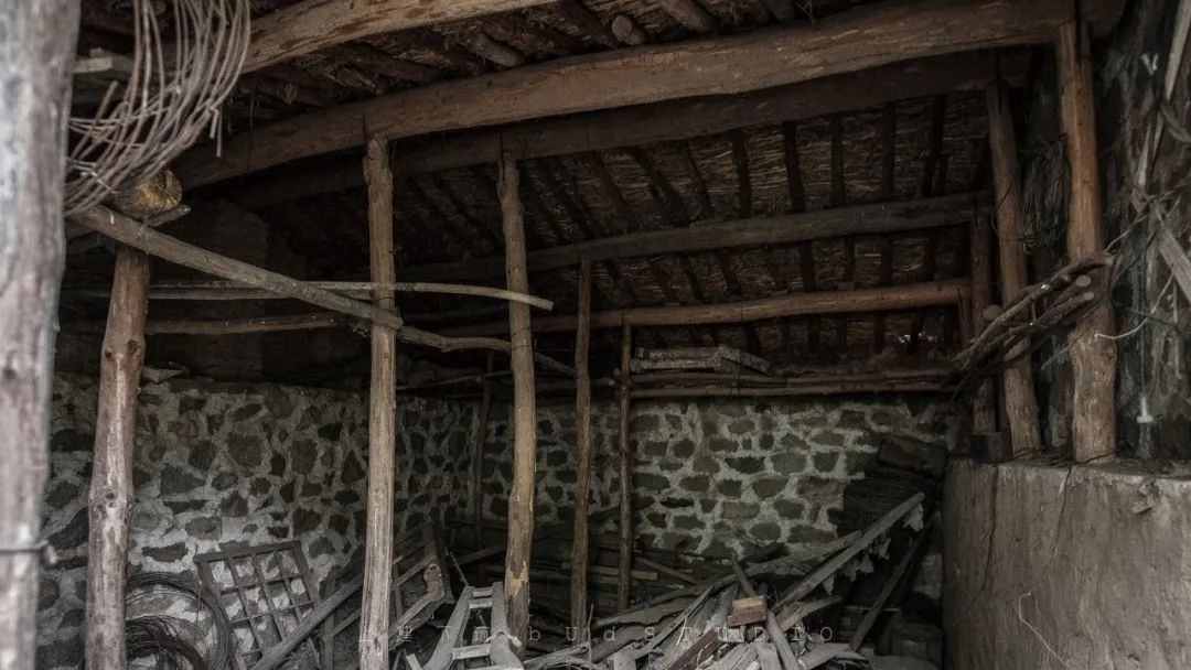 柱林餐厅 | 游走于竹与柱之间的绿色共生空间-6