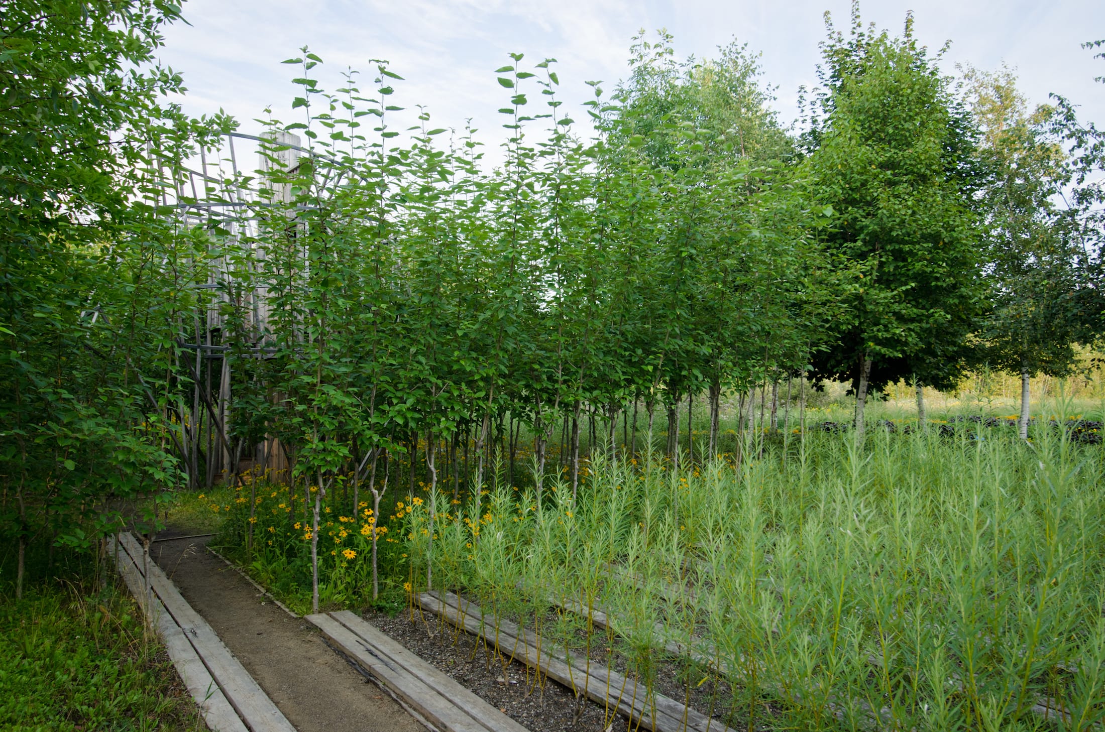 2019加拿大国际花园节（第二部分）,Reford Gardens-97