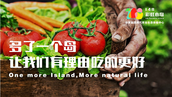 现代农业基地-品牌/策划2019-14