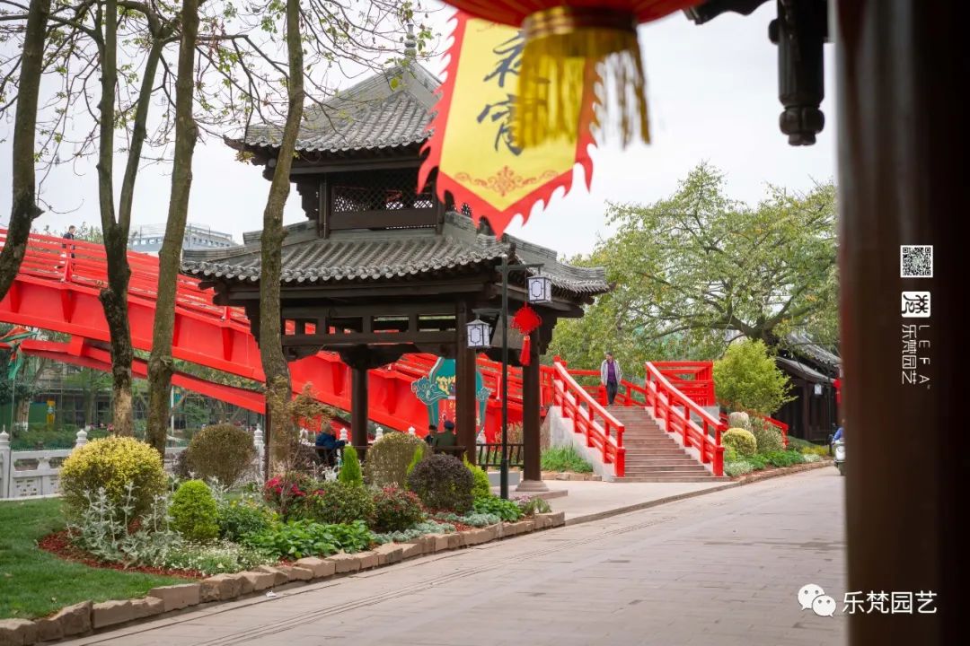 丹棱春色 · 古韵新颜,漫山幸福花开丨中国眉山丨乐梵-30