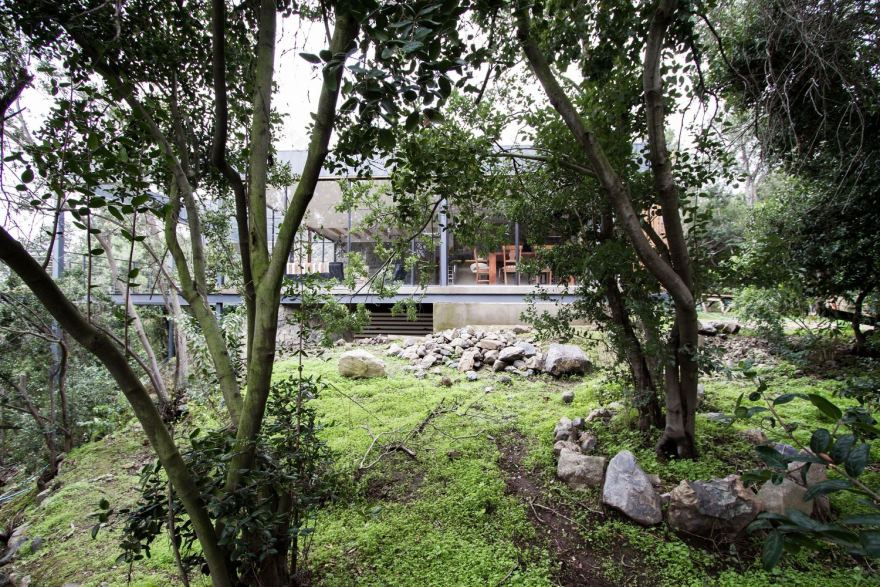 智利奥尔穆埃森林中的悬浮家庭住宅-73