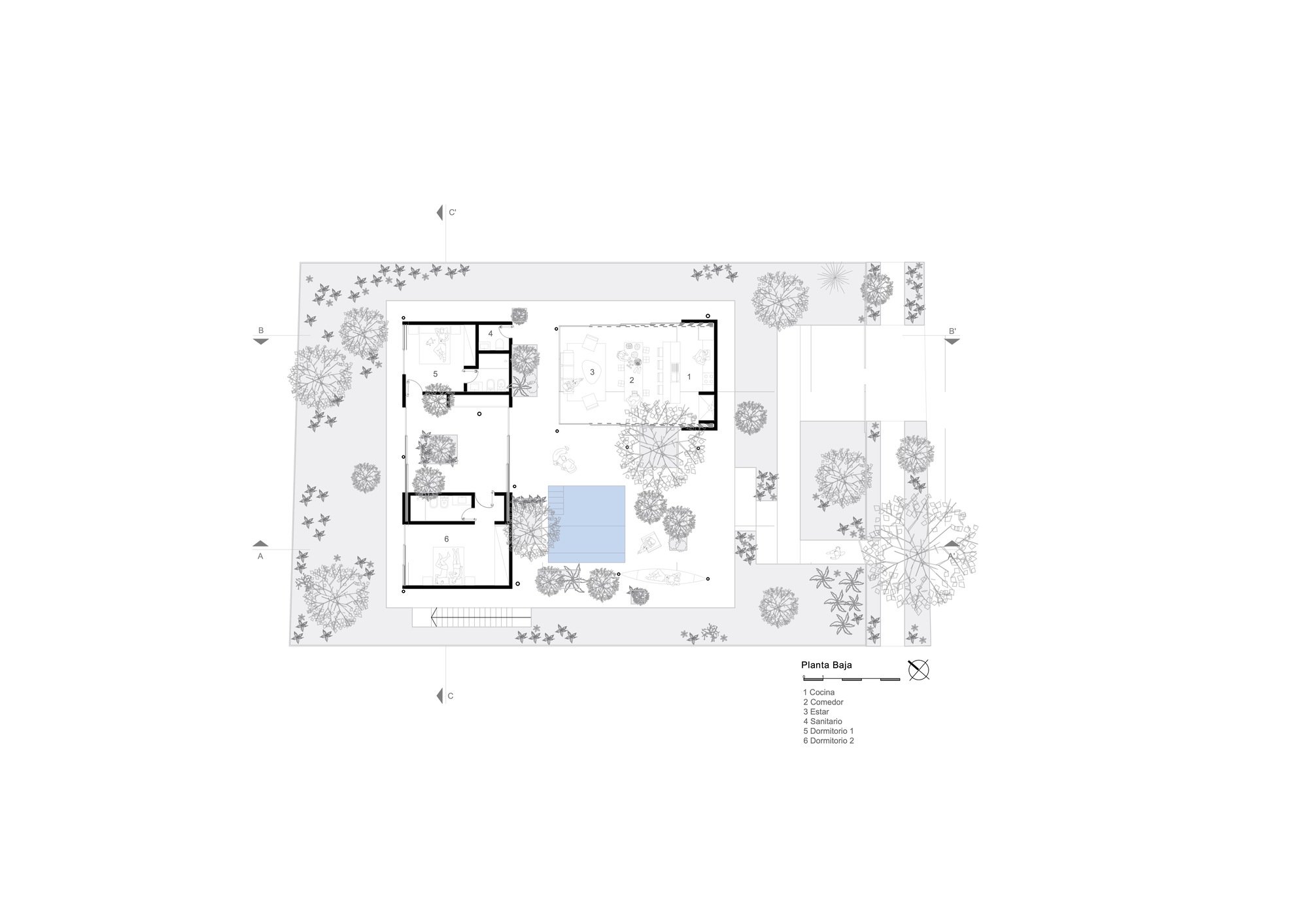 屋内的一片森林丨巴拉圭丨Equipo de Arquitectura-23