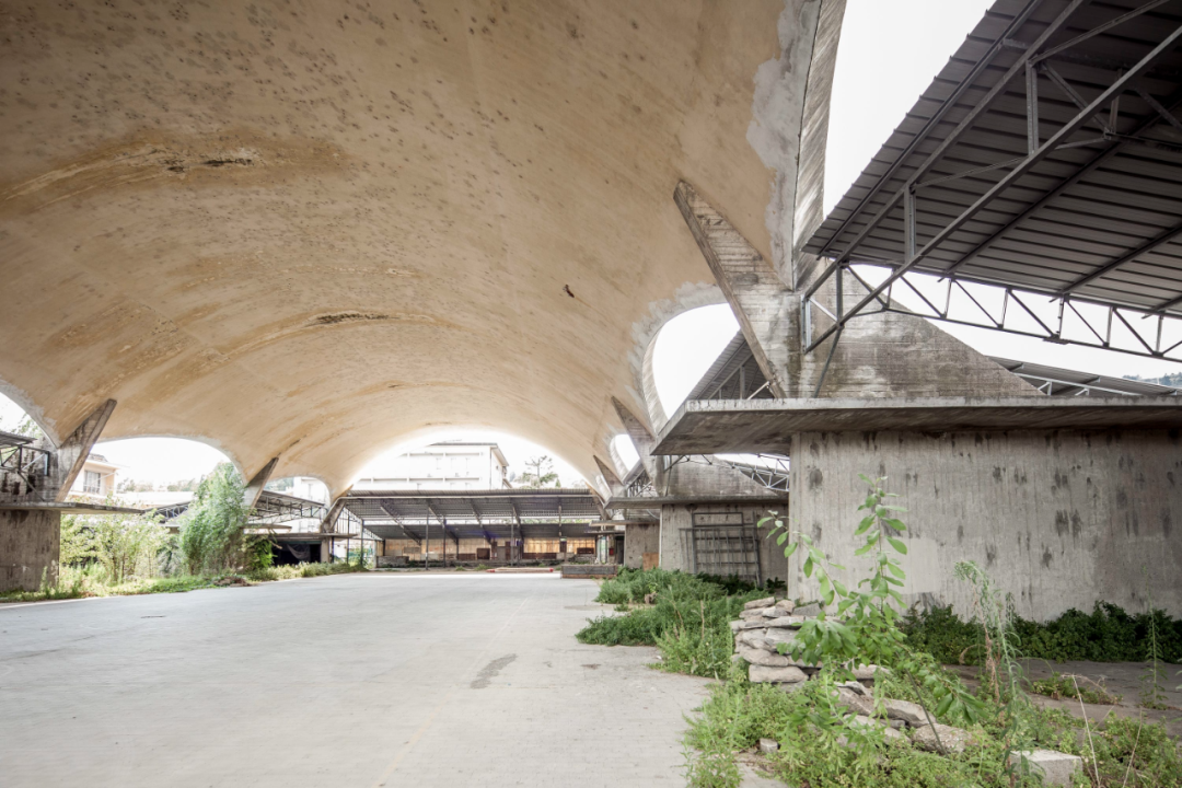 维亚皮阿金蒂纳大楼丨意大利佛罗伦萨丨Leonardo Savioli-52