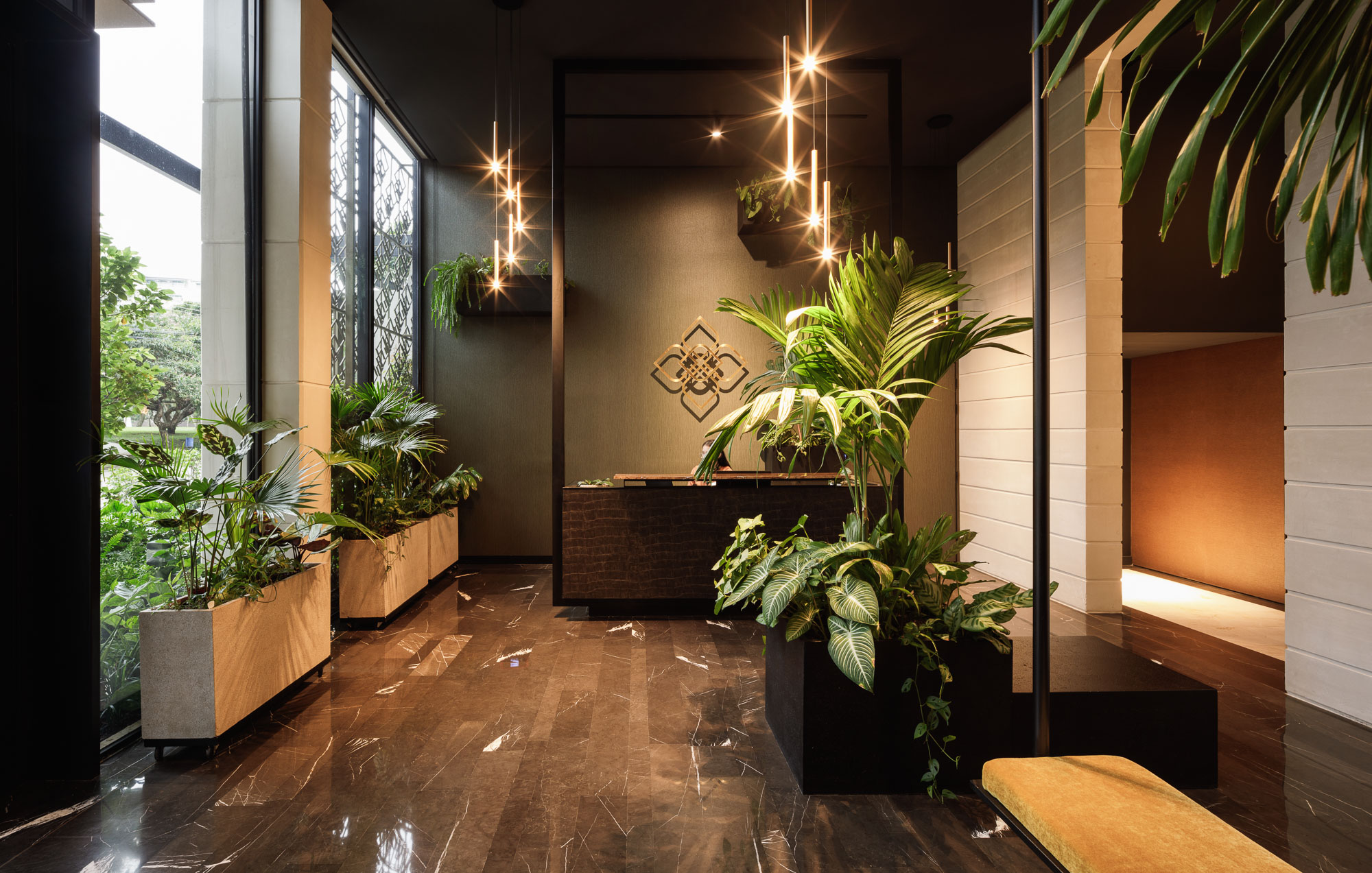 栀子丨哥斯达黎加圣何塞丨Studio Saxe-43