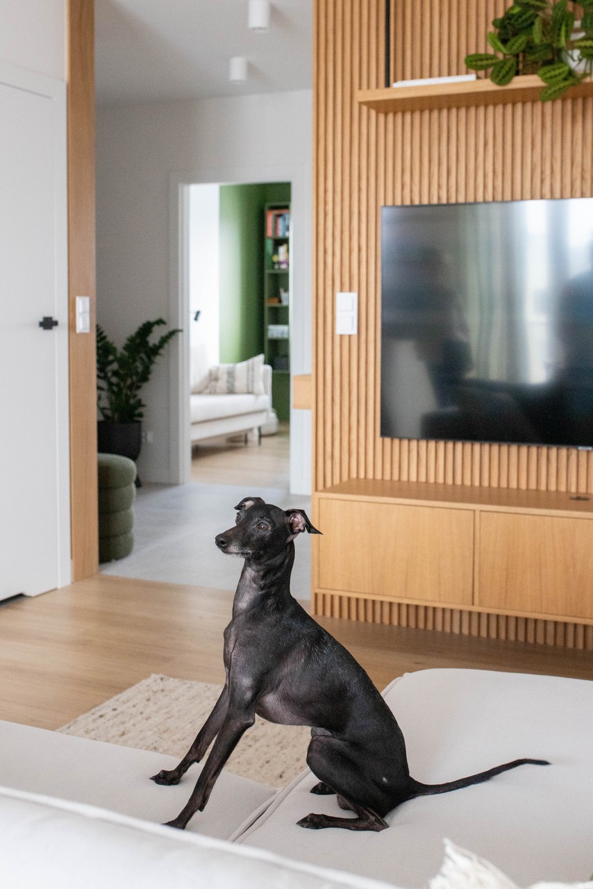 克拉科夫65平米陶瓷爱好者与登山爱好者公寓设计丨波兰克拉科夫丨Ewa Jasińska-29