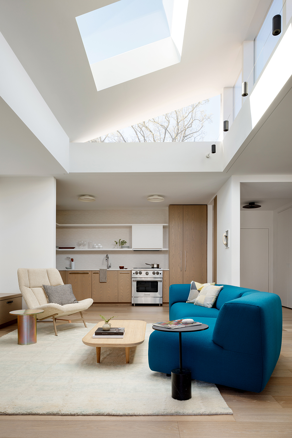 华盛顿极简主义住宅丨美国华盛顿丨Colleen Healey Architecture-12