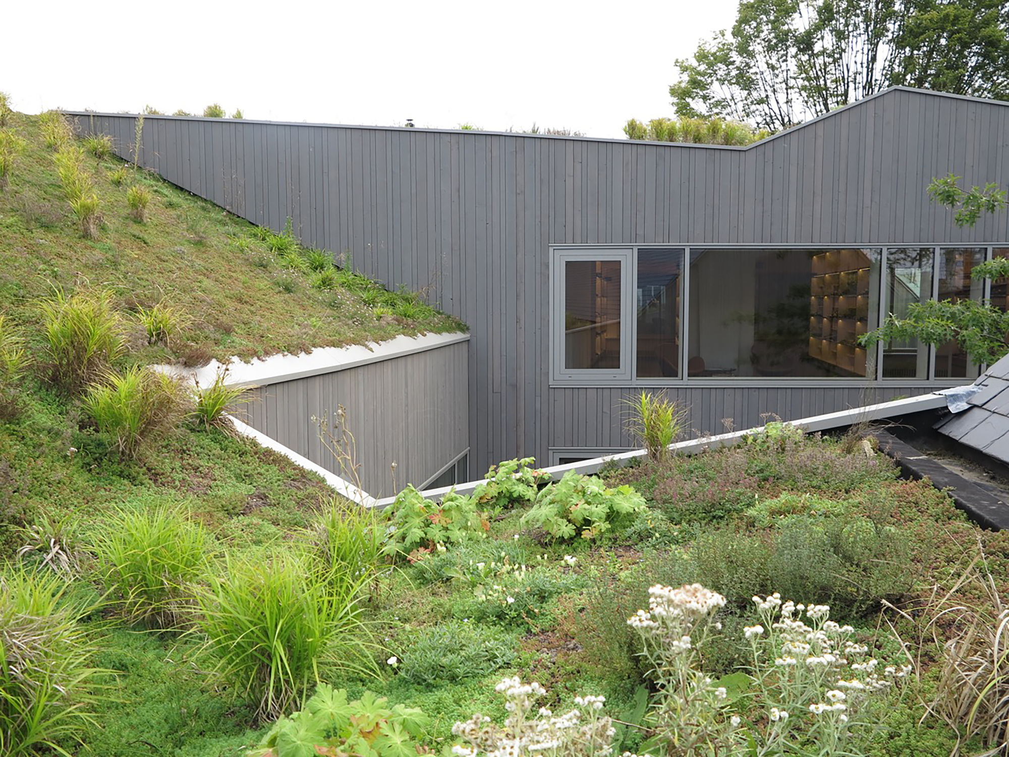 Pedico Shop / murmuur architecten + Robbrecht & Daem architecten-13