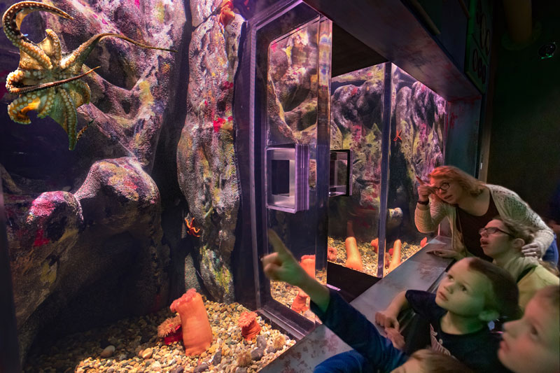 St· Louis Aquarium（圣路易斯水族馆）丨阿根廷圣路易斯-6