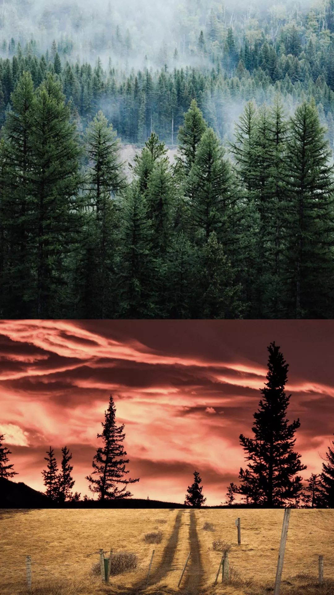 22㎡蜗居的色彩重生-38