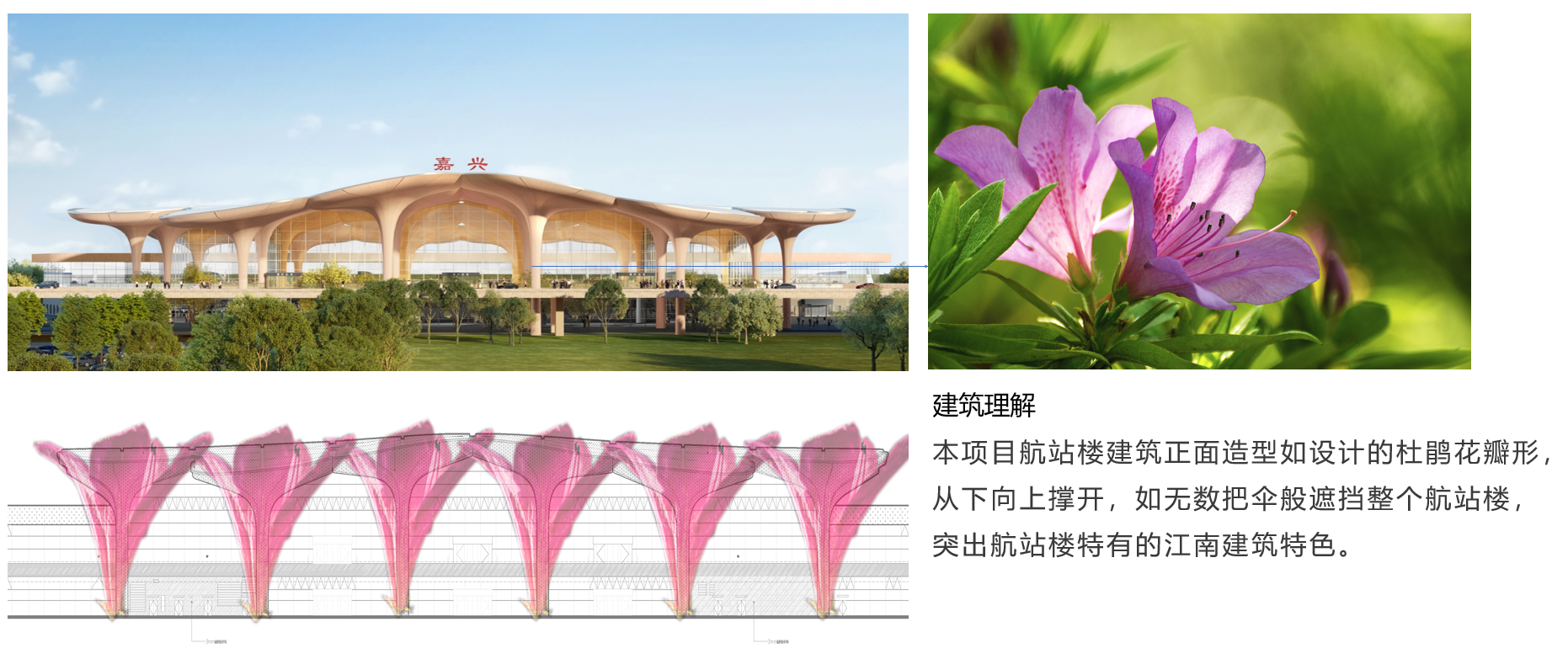 嘉兴机场（团队作品）丨中国嘉兴-15