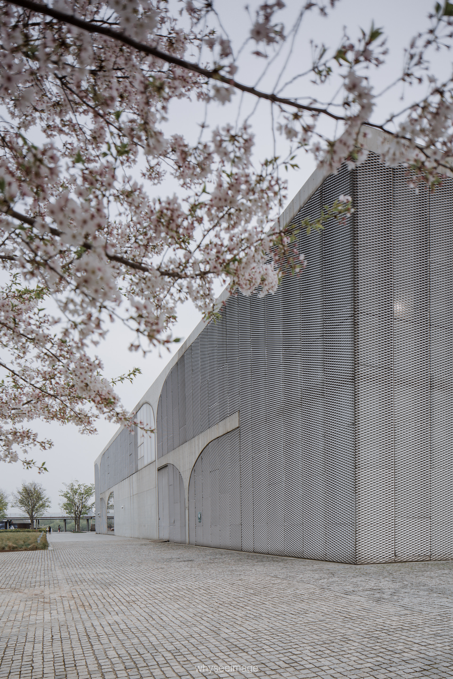 樱花+龙美术馆丨中国上海丨大舍建筑设计工作室-35