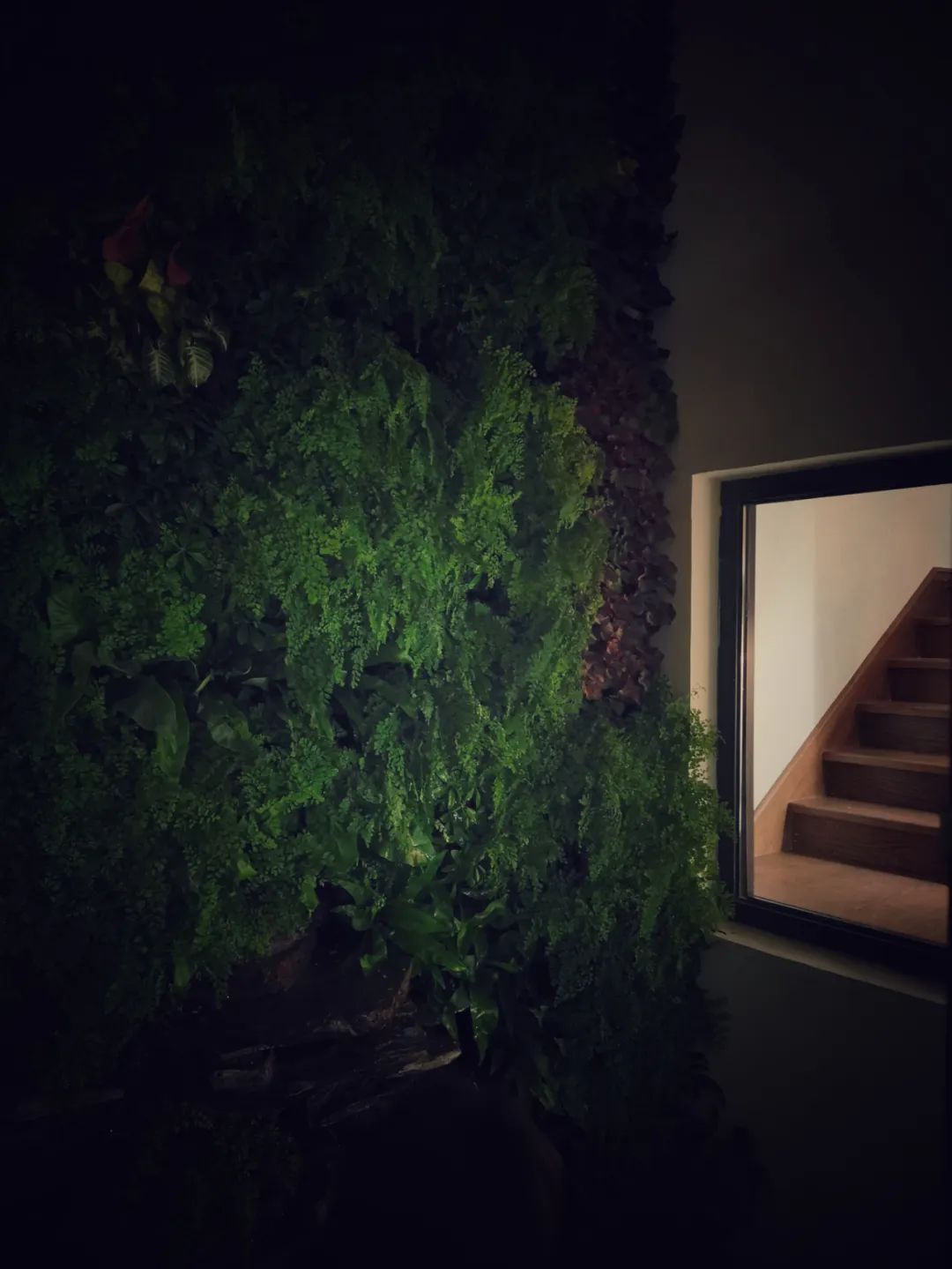 孙姣 | 自然无为,空间秩序的唤醒力量-63