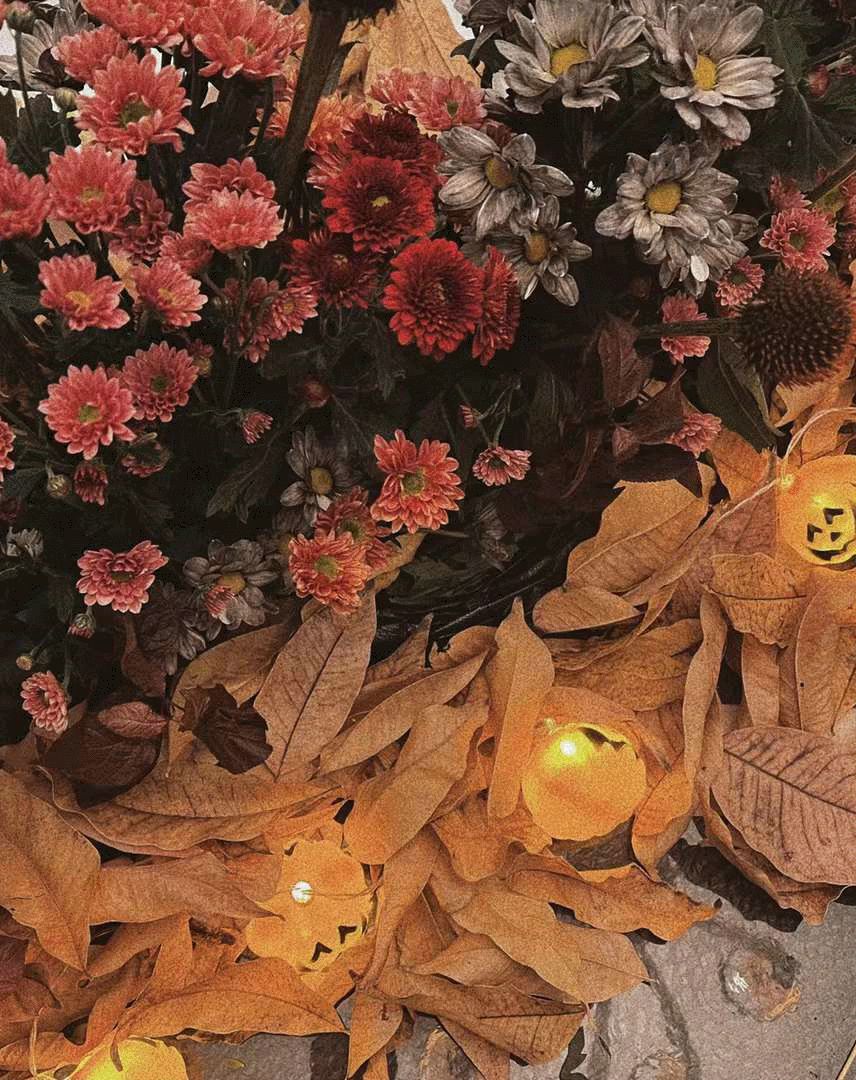 万圣节狂欢夜——力设计的神秘诡异空间-17