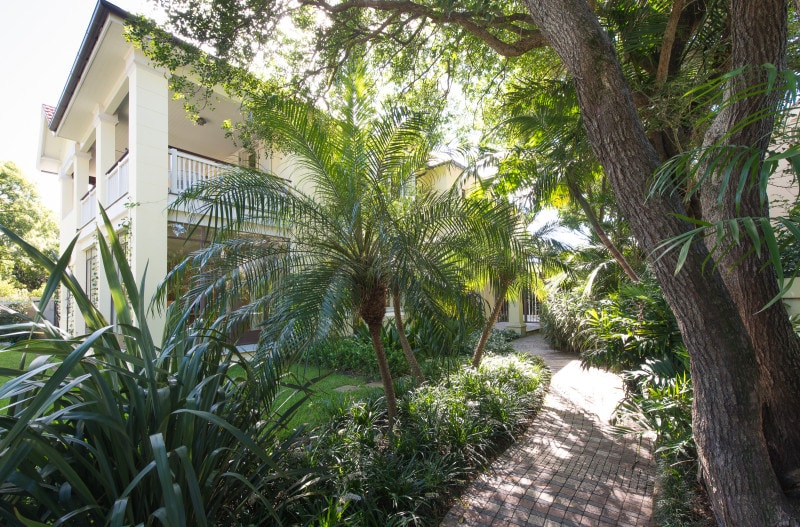 Library in Fernery Luigi Rosselli Architects-1