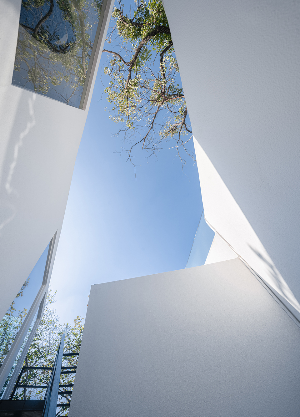 LILITH莉莉斯小屋（猫舍花园）丨中国上海丨DCDSAA淀川建筑事务所-45