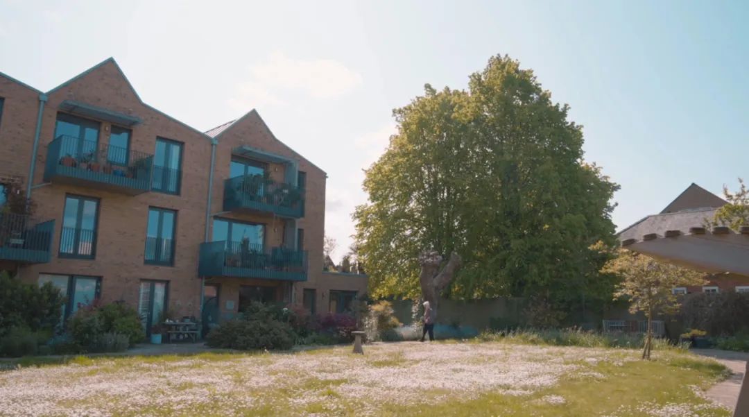 26个大龄女性共建养老社区，男友可以留宿-91