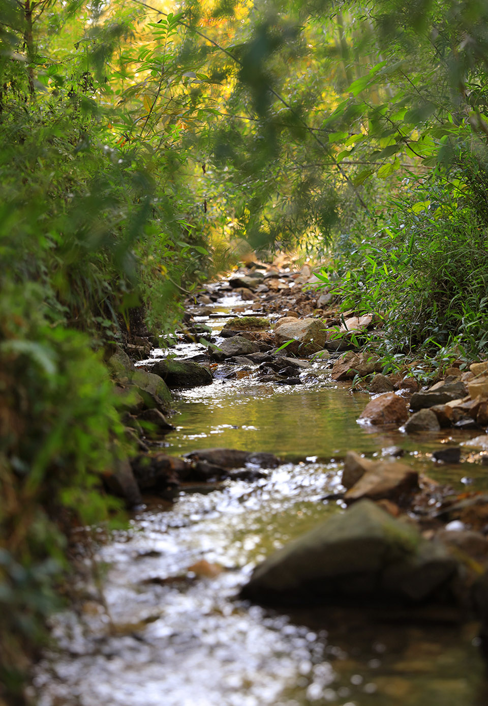 慧心谷度假村，浙江 / 墨璞建筑设计（上海）有限公司-11
