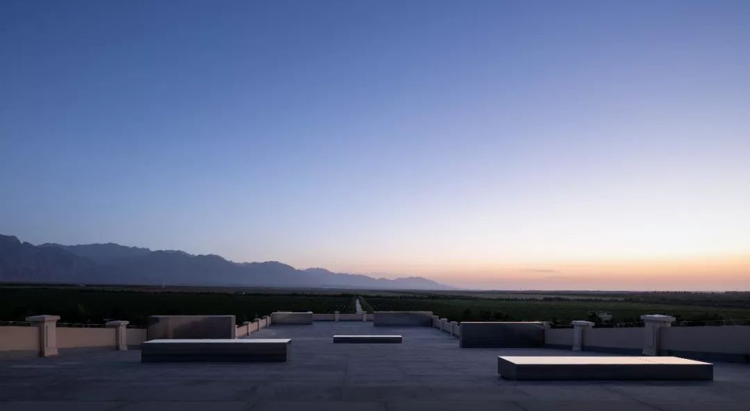 双面神祇的私人艺术空间——Janus Casa-94