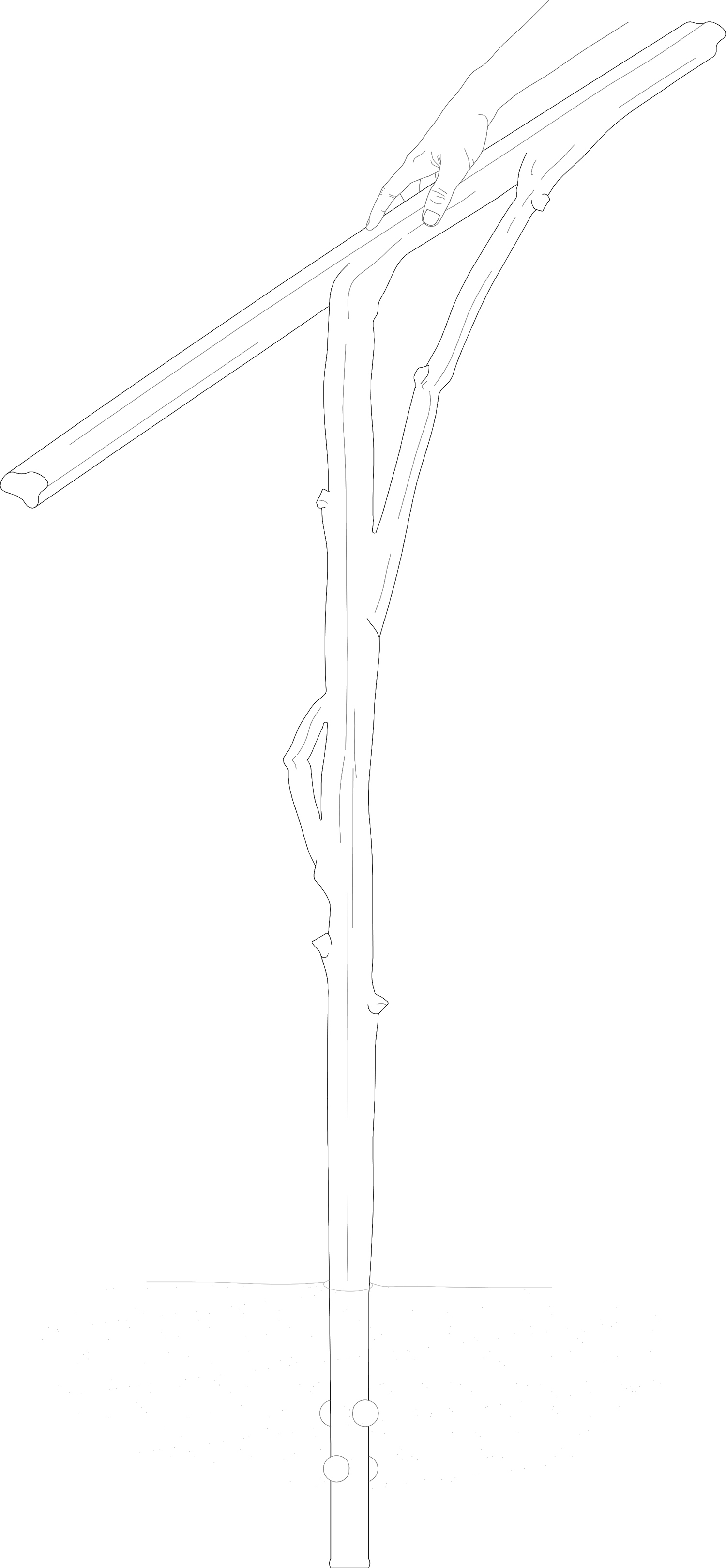 7000 Oaks 与城市生态共生的艺术设计-60