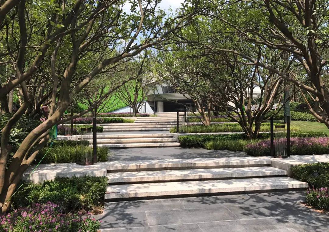 园路列植设计丨上景总工办-88