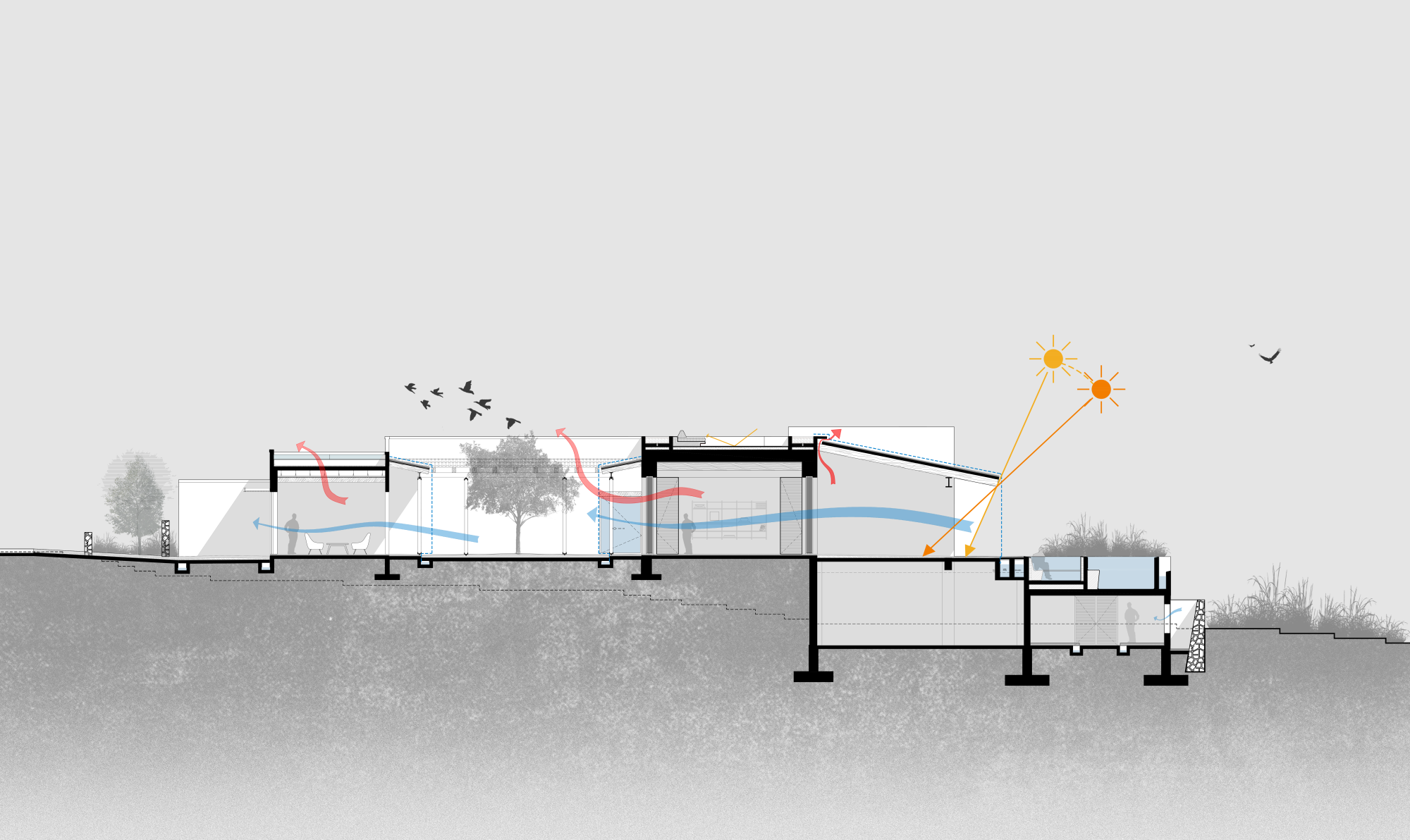 Casa Ananda住宅丨墨西哥-26