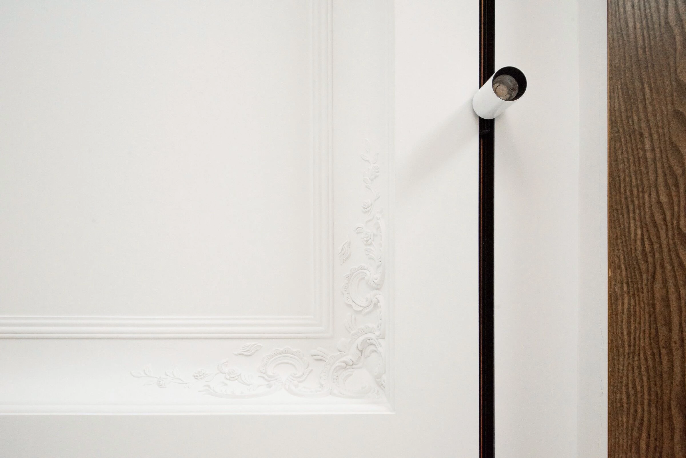 Philosophy of moderation neoclassical apartment-32