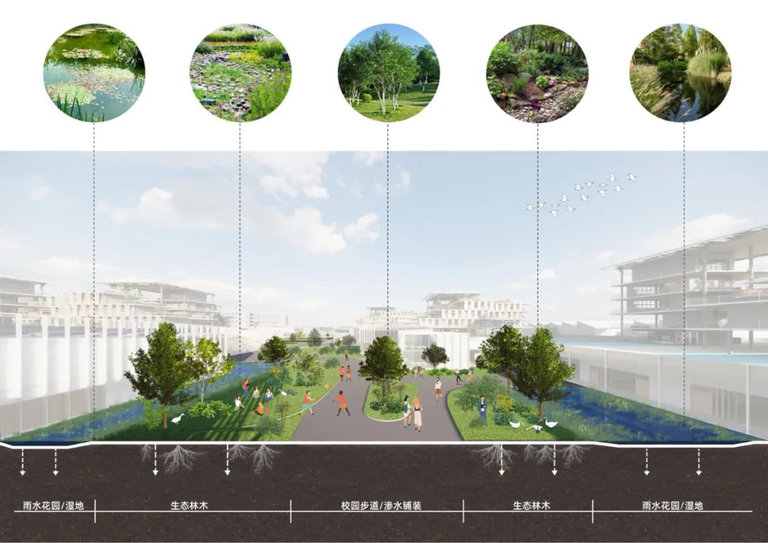 中标候选方案 | 聚落景观学习谷：佛山一中顺德学校/ 众建筑+广州瑞华-19