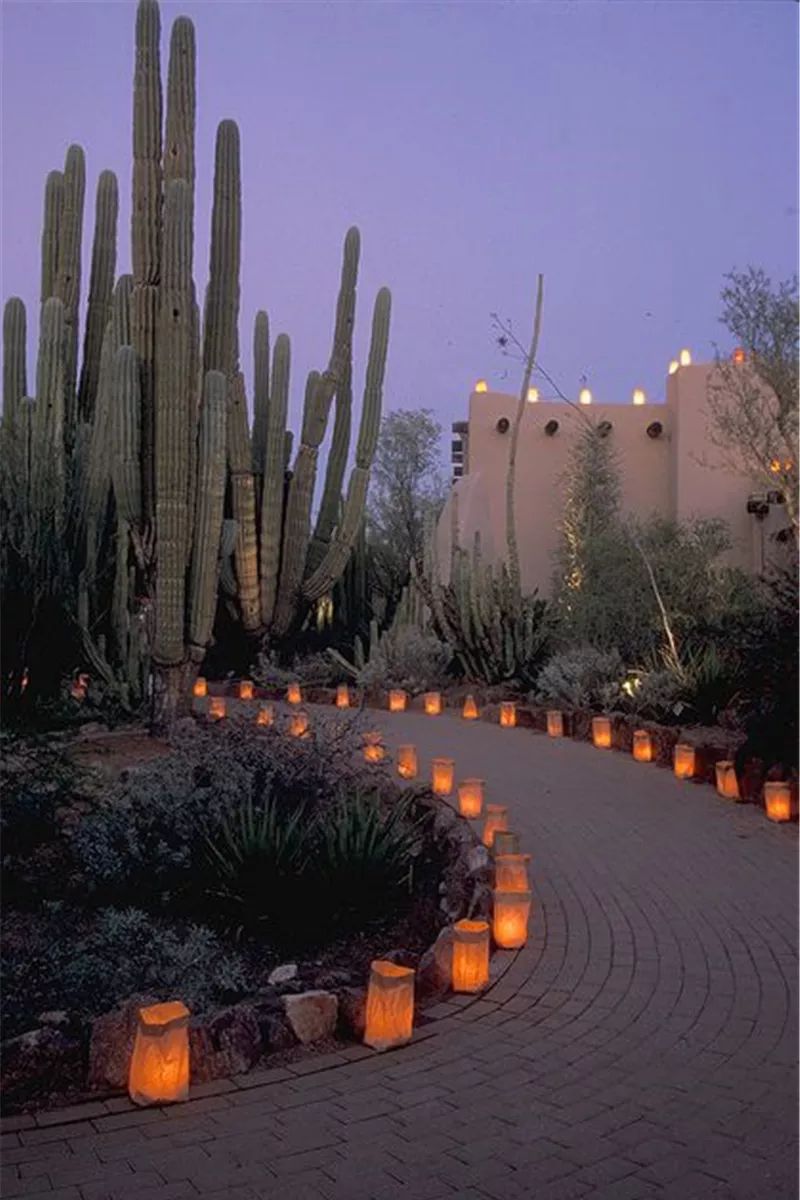 庭院铺装 8 大材料,打造个性化户外空间-132