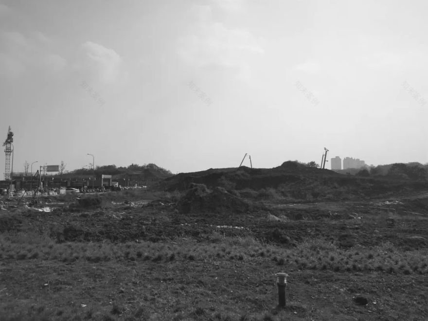 金科·星宸海 | 城市山林中的星辰大海-57