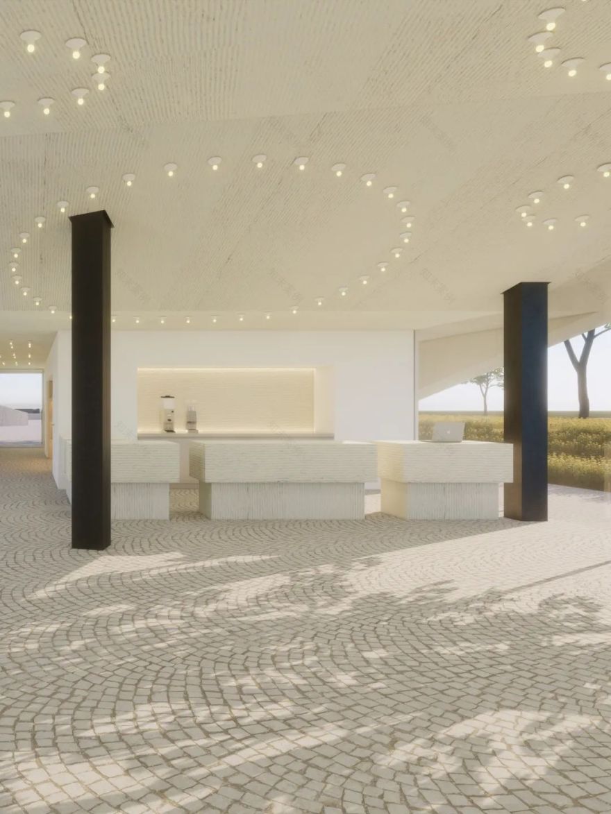 海边的两块石头-31