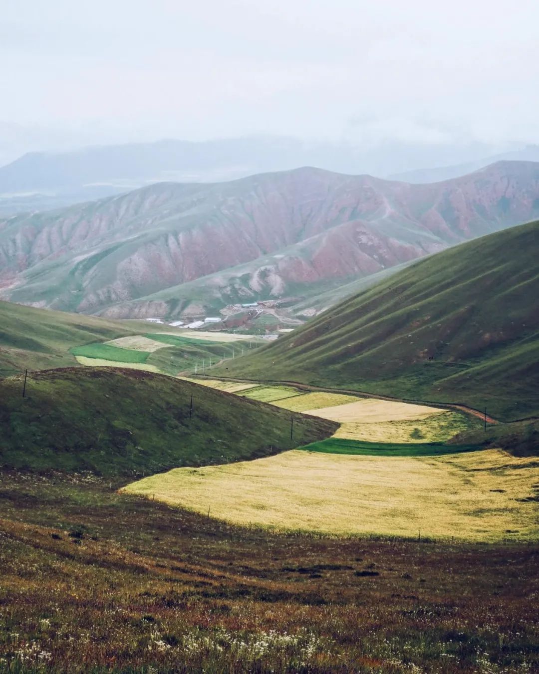 青海之旅 | 祁连山脉、茶卡盐湖、青海湖的惊艳设计-16
