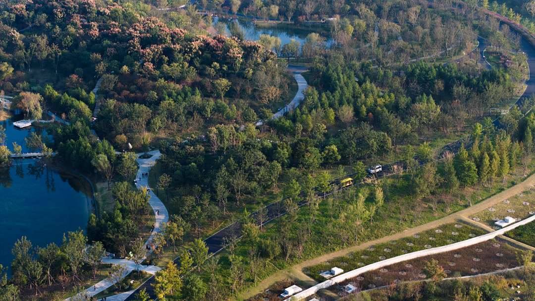 合肥骆岗公园景观设计丨中国合肥丨泛亚景观设计（上海）有限公司-38