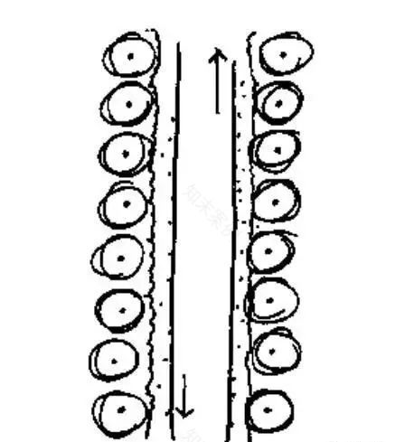 跟着大师西蒙兹学种植设计 | 景观设计师的终生目标和工作-133