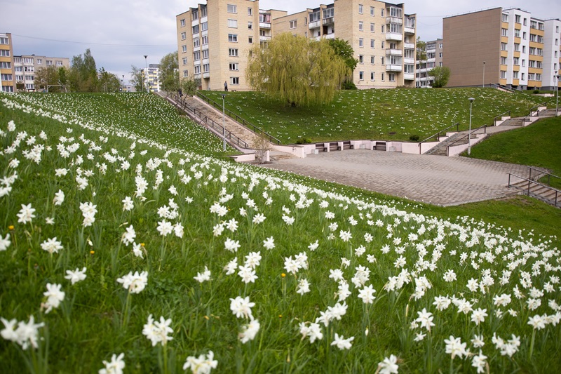 Jonavos市绿化项目-13