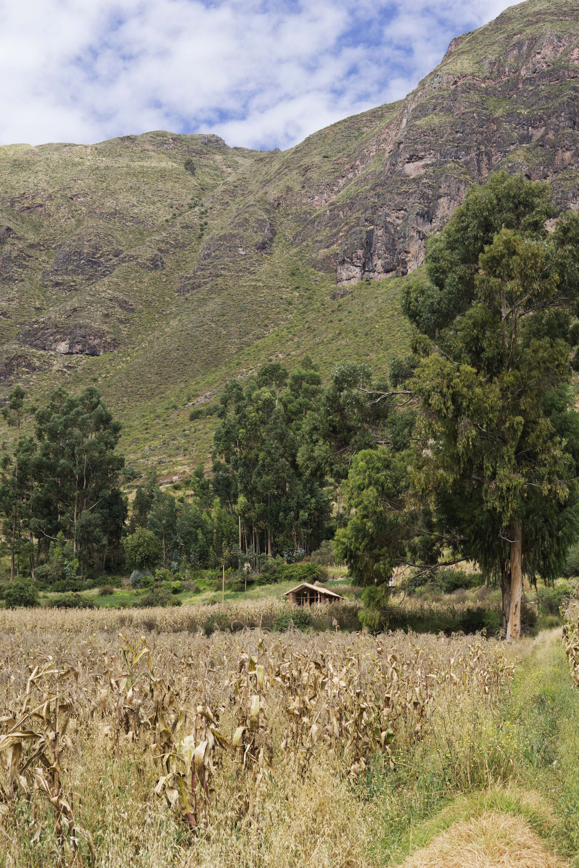 费利西亚纳小屋丨秘鲁丨Taller MACAA-38