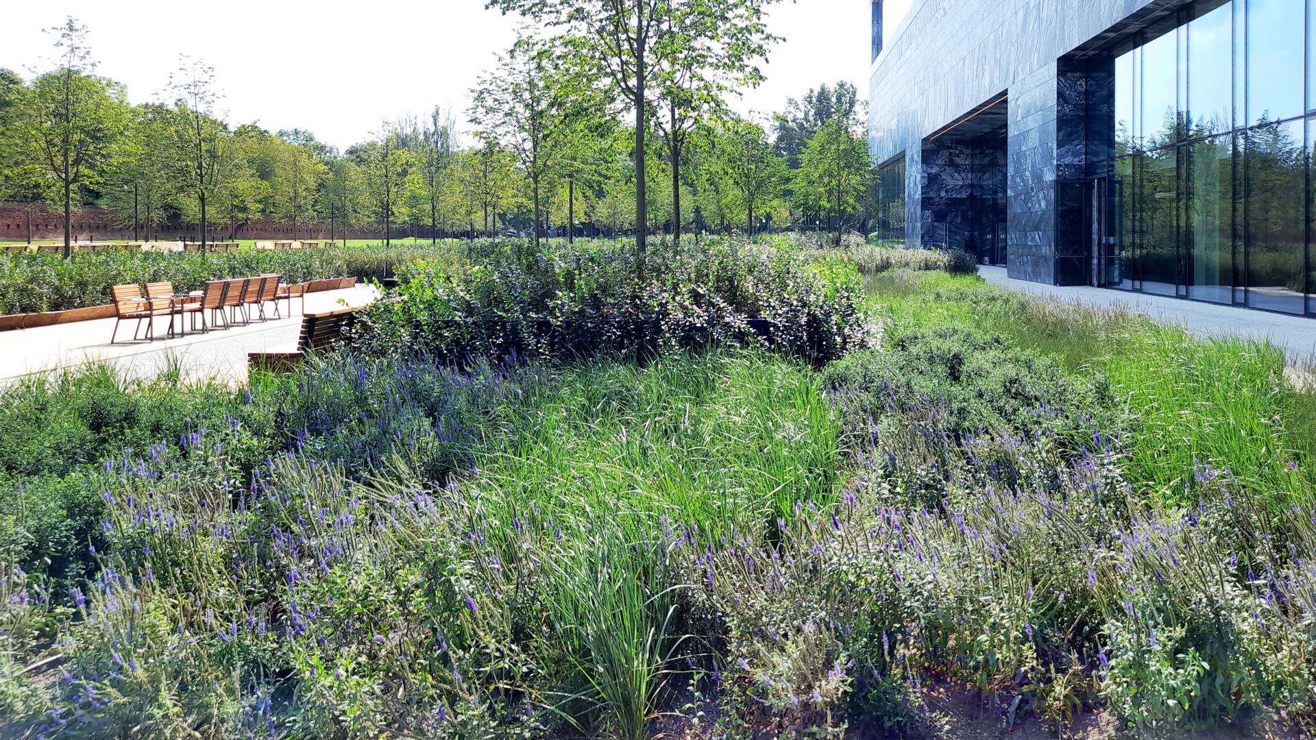 波兰历史博物馆周边环境设计丨波兰华沙-19