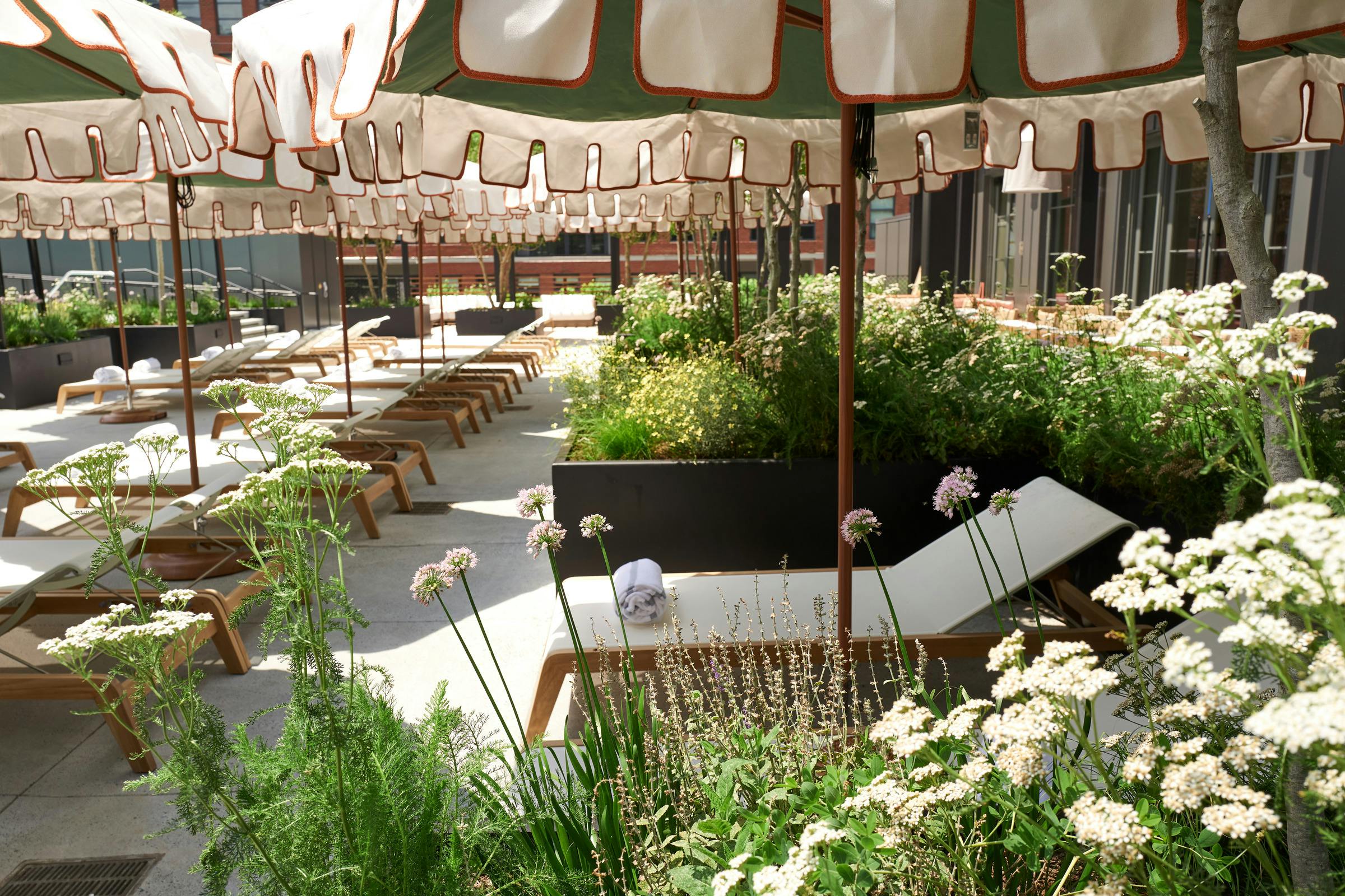 丨美国亚特兰大丨MA（Morris Adjmi Architects）-40