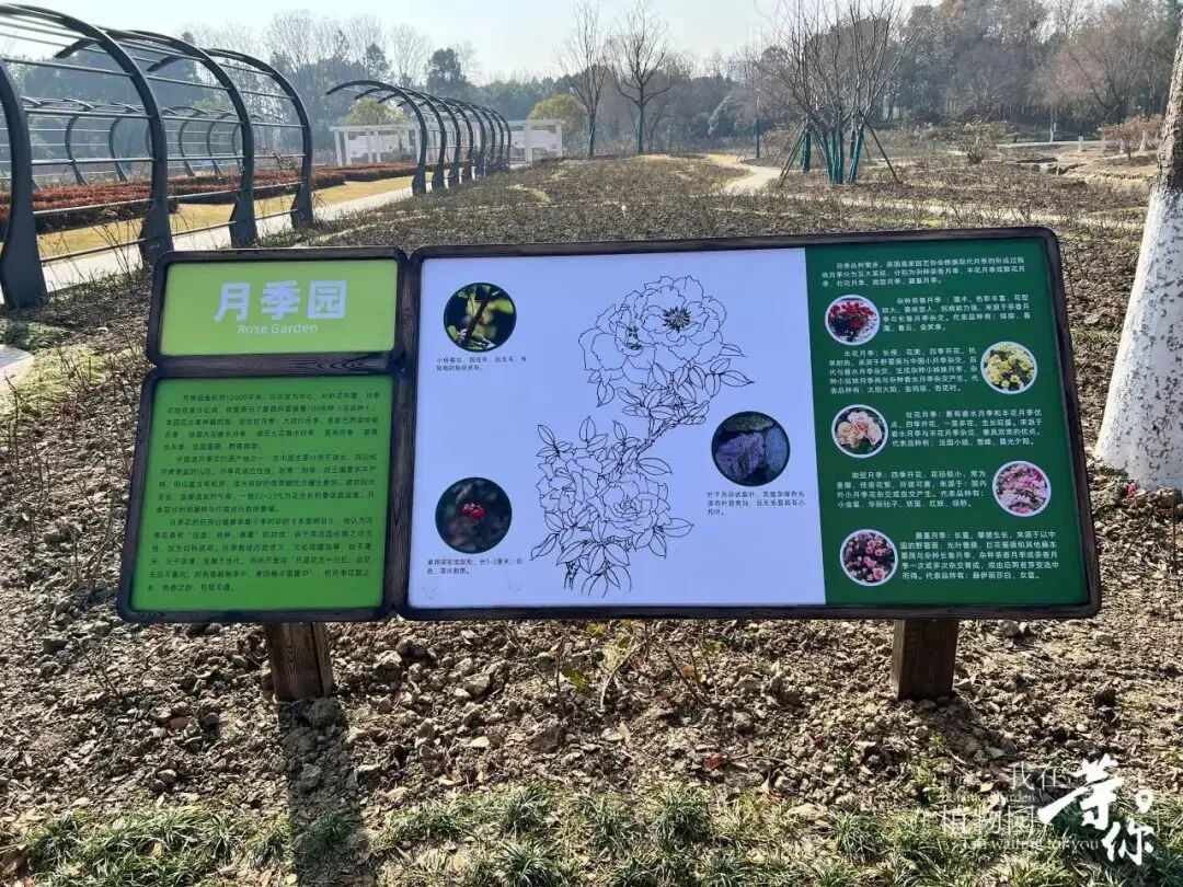 助力长三角生态绿色一体化发展|华建集团现代院原创设计嘉兴中央公园（嘉兴植物园）改造提升项目-26