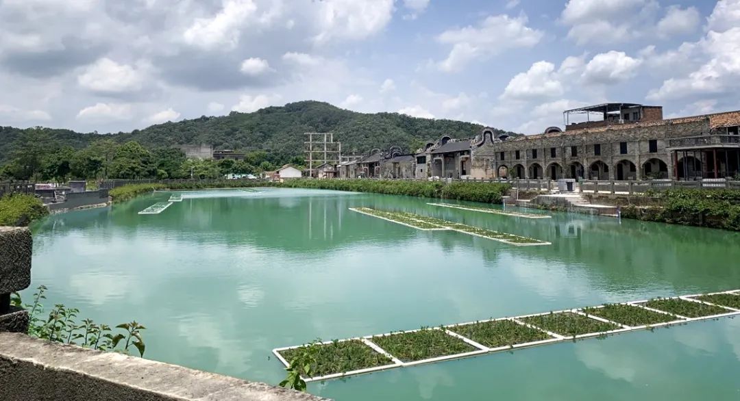 六百年岭南古村，如何振兴？丨广州花都港头村改造提升-69