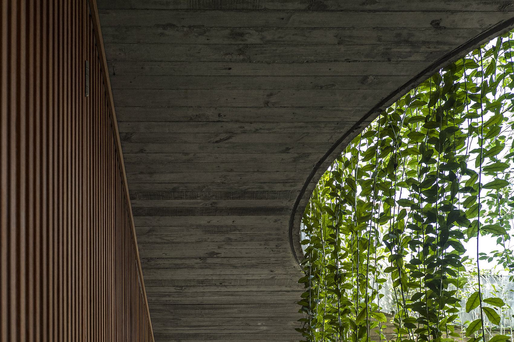 LP别墅丨越南河内丨NghiaArchitect-84