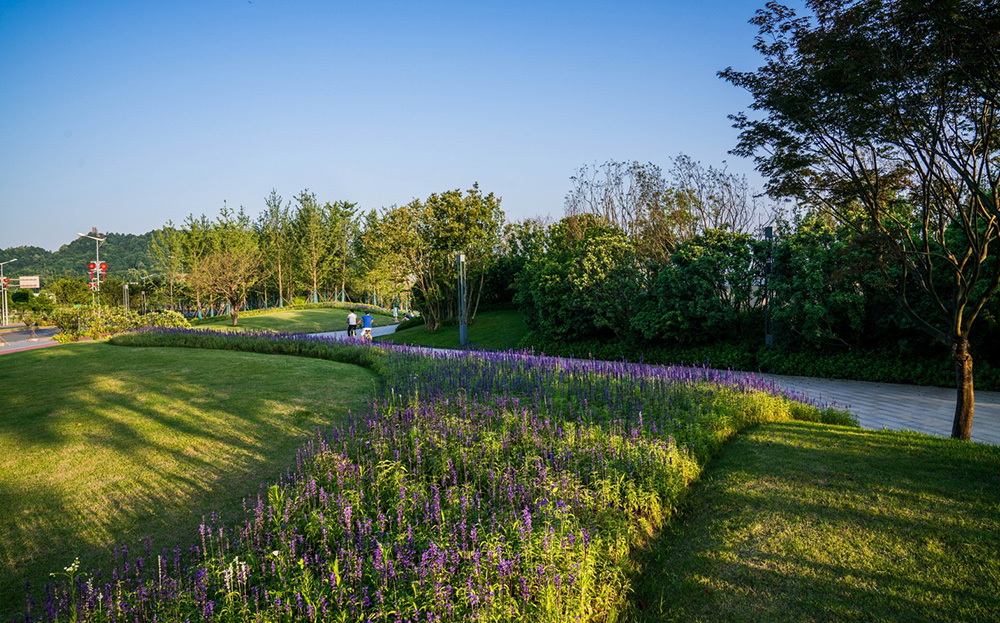 长沙金霞风光带及鹅山公园丨中国长沙丨L&A设计集团上海分公司-45