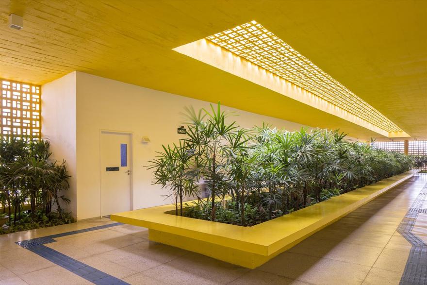 Unileão 法律实践核的创新设计-8