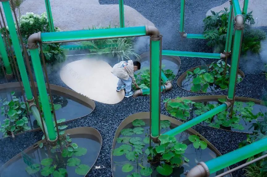 微藻实验花园:景观设计中的绿色新篇章-30