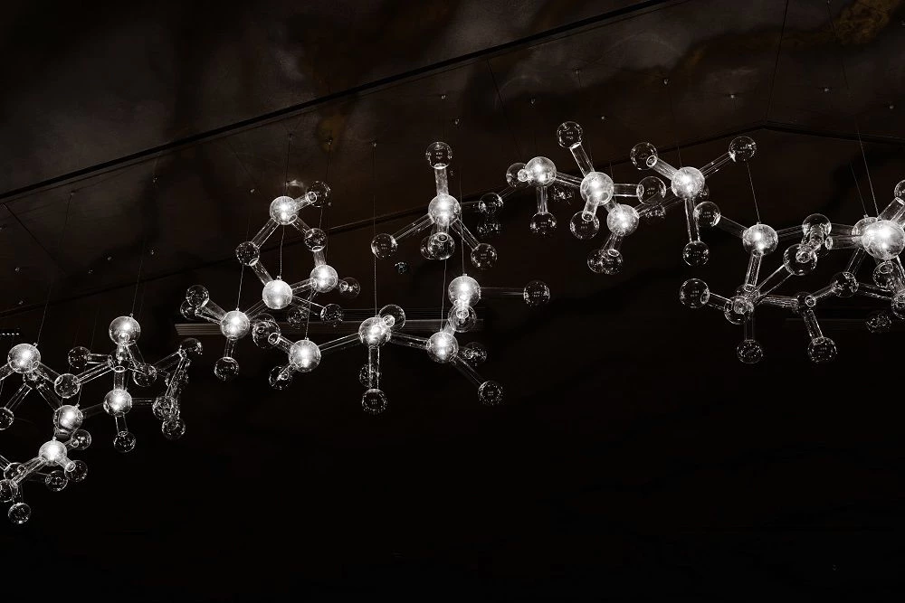 创新翻新,旧剧院焕发新活力-24