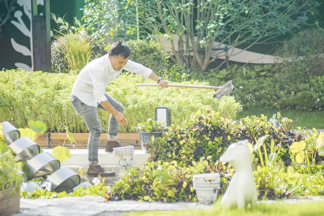 中南蚌埠江山府 | 种下一米菜园，收获心田一亩-3